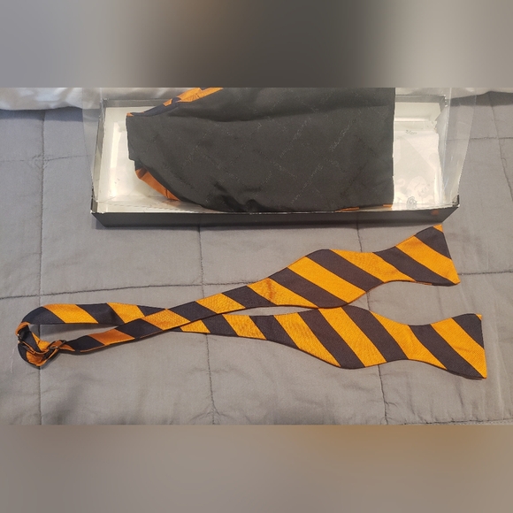 Robert Talbott Protocol Cumberbunn and Bowtie - Picture 4 of 8